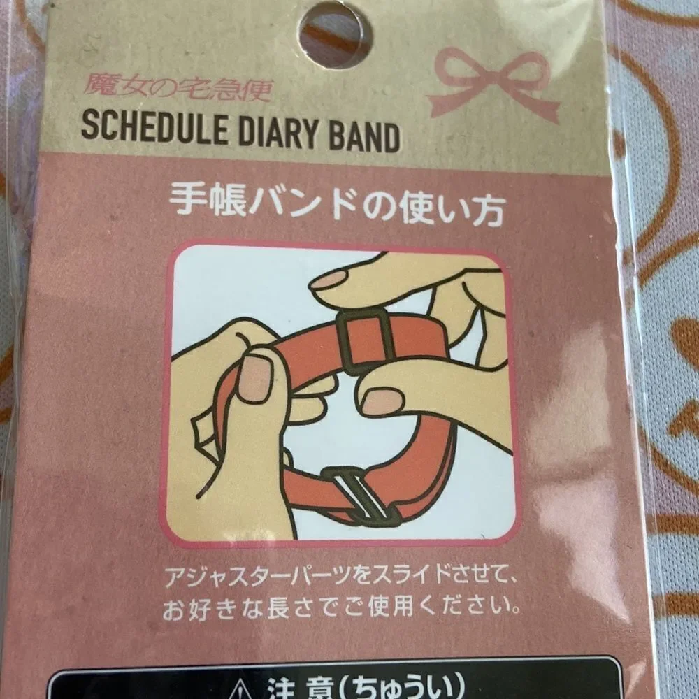 Schedule diary Band journaling